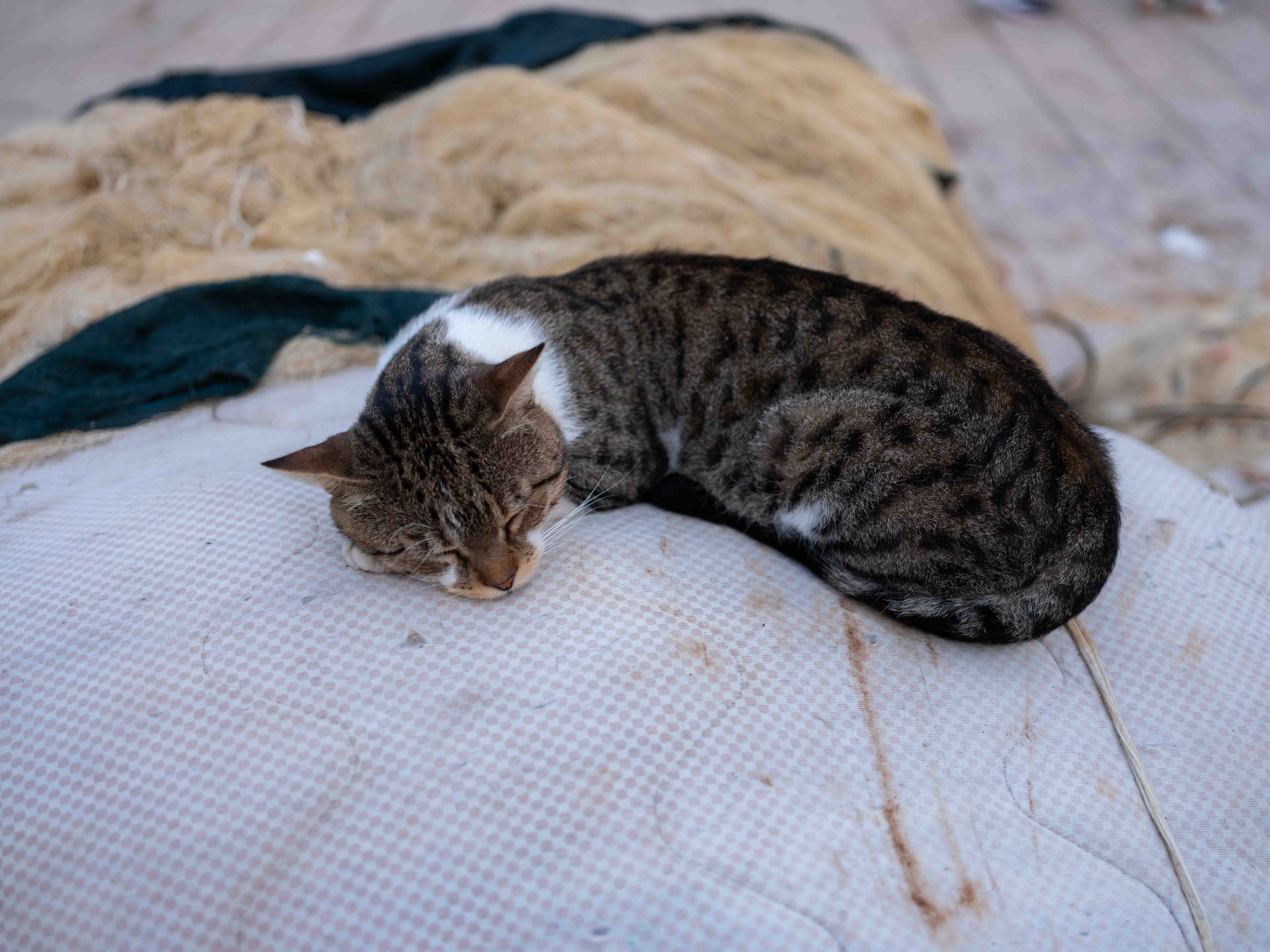 Photos from travel in Sicily, Fall 2024. Taormina, Noto, Palermo.